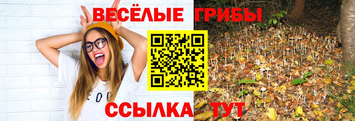 Горячий Ключ  Галлюциногенные грибы мухоморы  наркотики  Псилоцибиновые грибы мицелий  Вход с VPN 