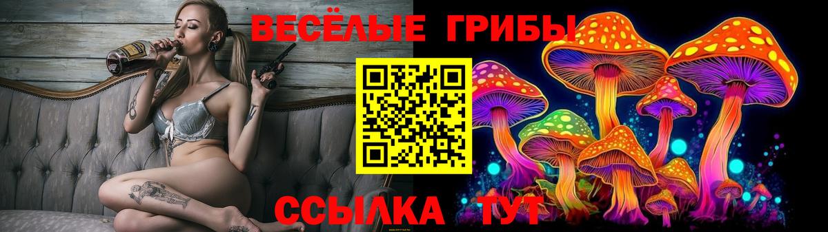 Галлюциногенные грибы прущие грибы Горячий Ключ